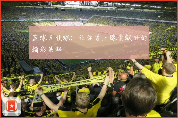 篮球五佳球：让你肾上腺素飙升的精彩集锦
