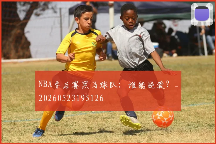 NBA季后赛黑马球队：谁能逆袭？_20260523195126