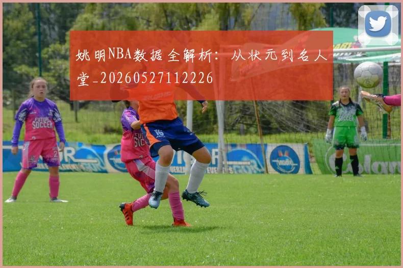 姚明NBA数据全解析：从状元到名人堂_20260527112226